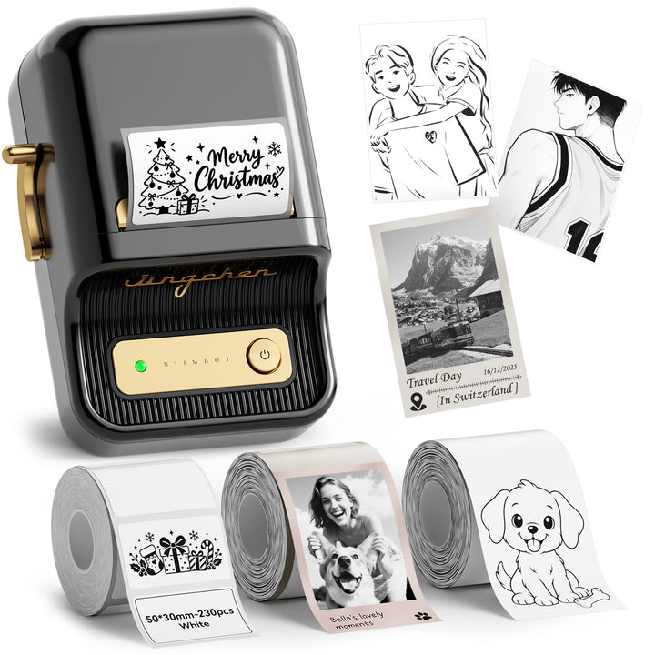 Impresora de etiquetas NIIMBOT B21 Pro de 300 ppp, impresión de fotografías, conexión Bluetooth para notas, fotos, gráficos de estudio, creador de notas