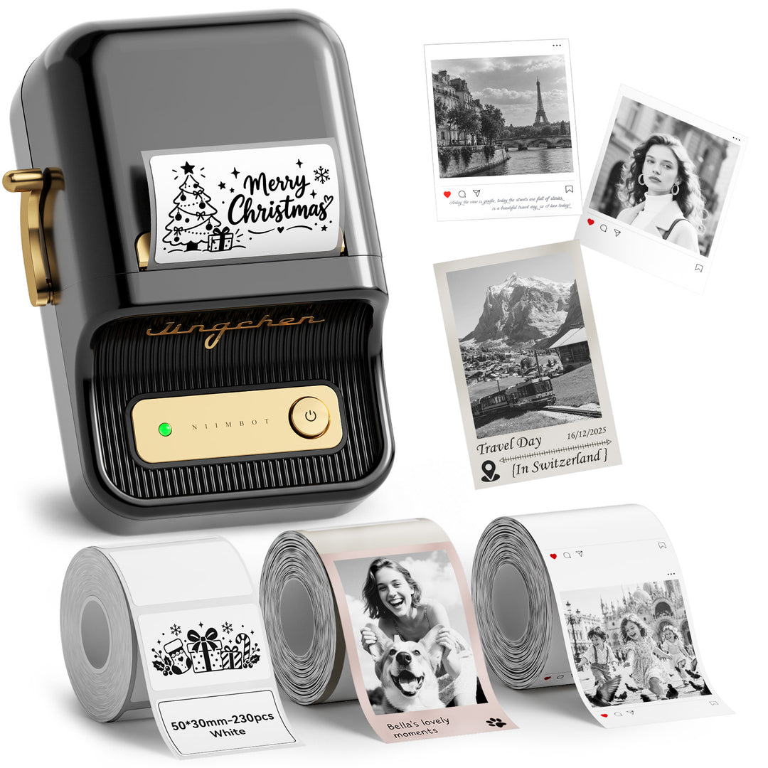 Impresora de etiquetas NIIMBOT B21 Pro de 300 ppp, impresión de fotografías, conexión Bluetooth para notas, fotos, gráficos de estudio, creador de notas