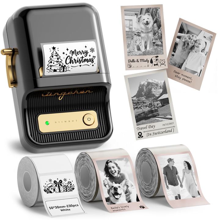 Impresora de etiquetas NIIMBOT B21 Pro de 300 ppp, impresión de fotografías, conexión Bluetooth para notas, fotos, gráficos de estudio, creador de notas
