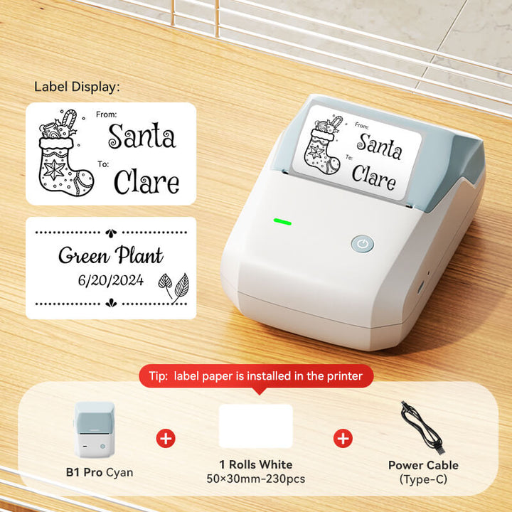 NIIMBOT B1 Inkless Thermal Label Printer, Create Professional Business Labels with Ease