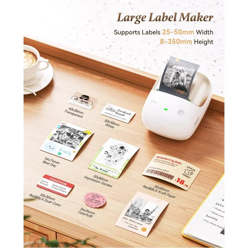 NIIMBOT B2 Pro 300 DPI High Definition, Portable Thermal Label Printer with Fun APP for Photos, Scrapbook, Home,School Oragnization