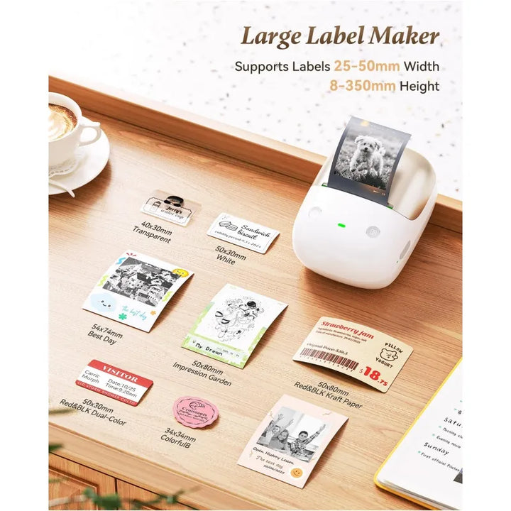 NIIMBOT B2 Pro 300 DPI High Definition, Portable Thermal Label Printer with Fun APP for Photos, Scrapbook, Home,School Oragnization
