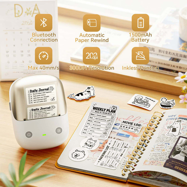 NIIMBOT B2 Pro 300 DPI High Definition, Portable Thermal Label Printer with Fun APP for Photos, Scrapbook, Home, School Organization
