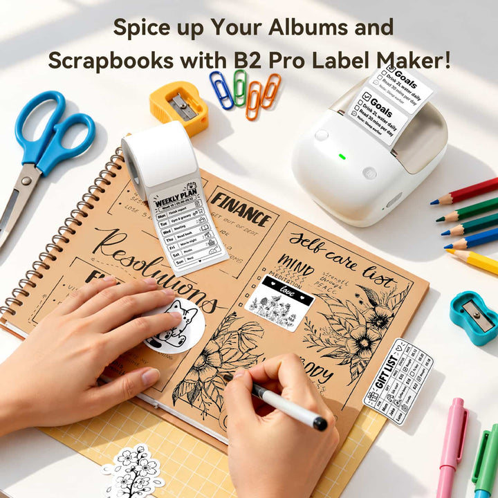 NIIMBOT B2 Pro 300 DPI High Definition, Portable Thermal Label Printer with Fun APP for Photos, Scrapbook, Home, School Organization