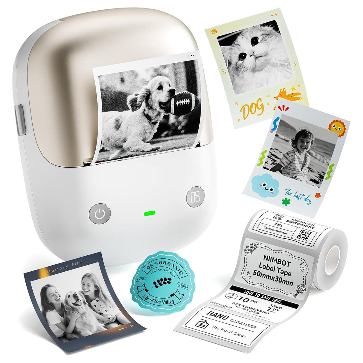 NIIMBOT B2 Pro home label printer