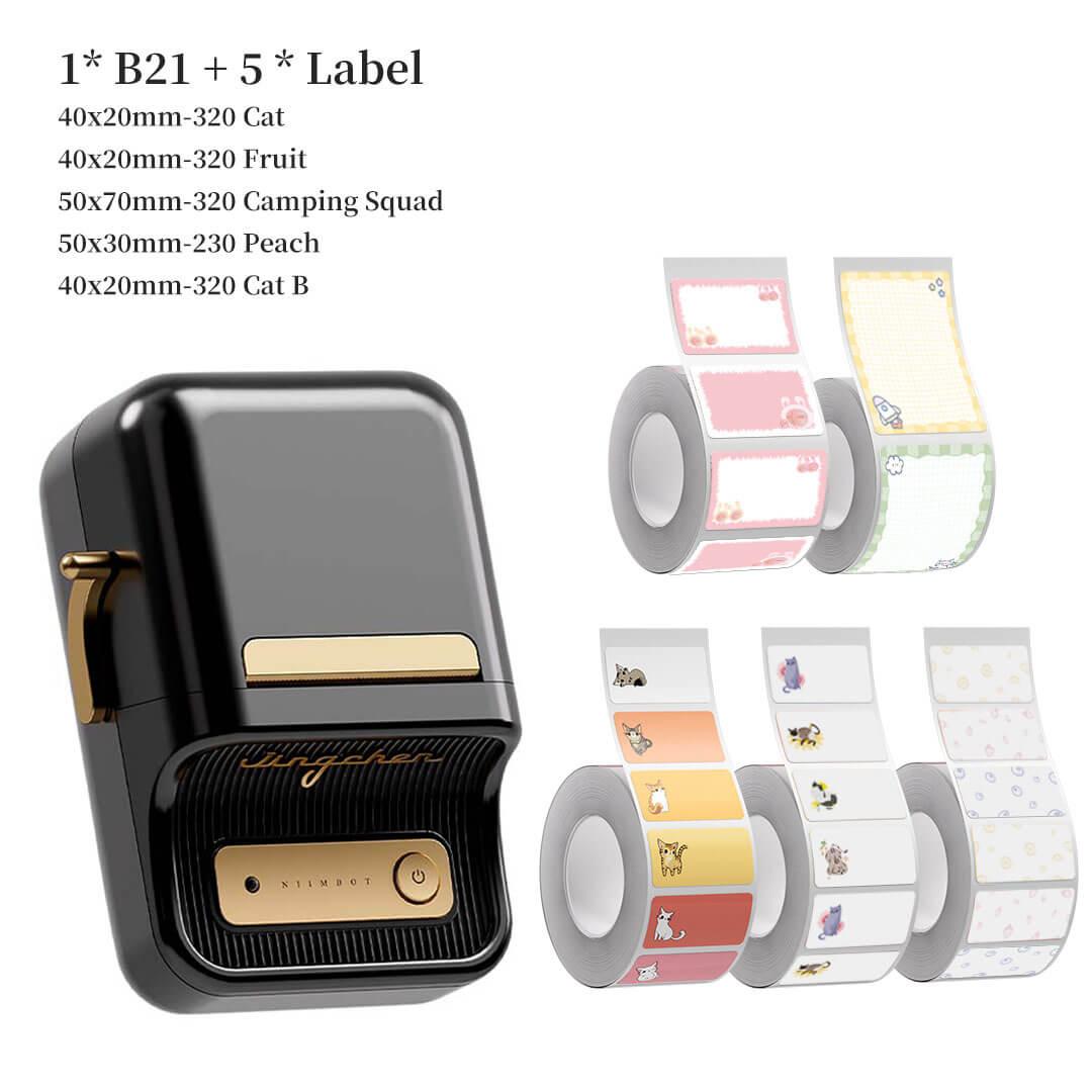 NIIMBOT B21 Label Maker and Label Tape Set - NIIMBOT