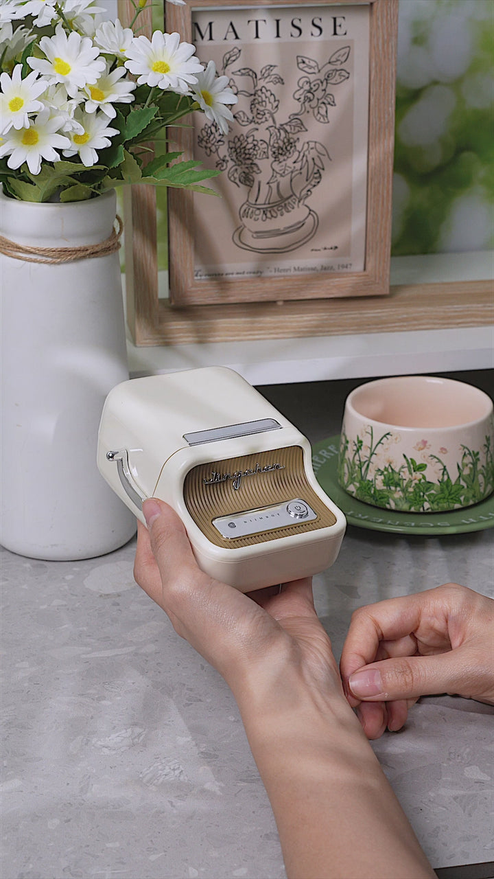 NIIMBOT B21 Bluetooth Thermal Label Printer, Efficient for Home, Office, Business